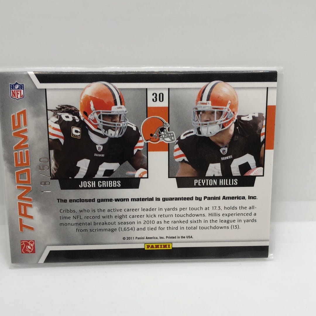 Cribbs / Hillis Tandems 2011 Jsy /50