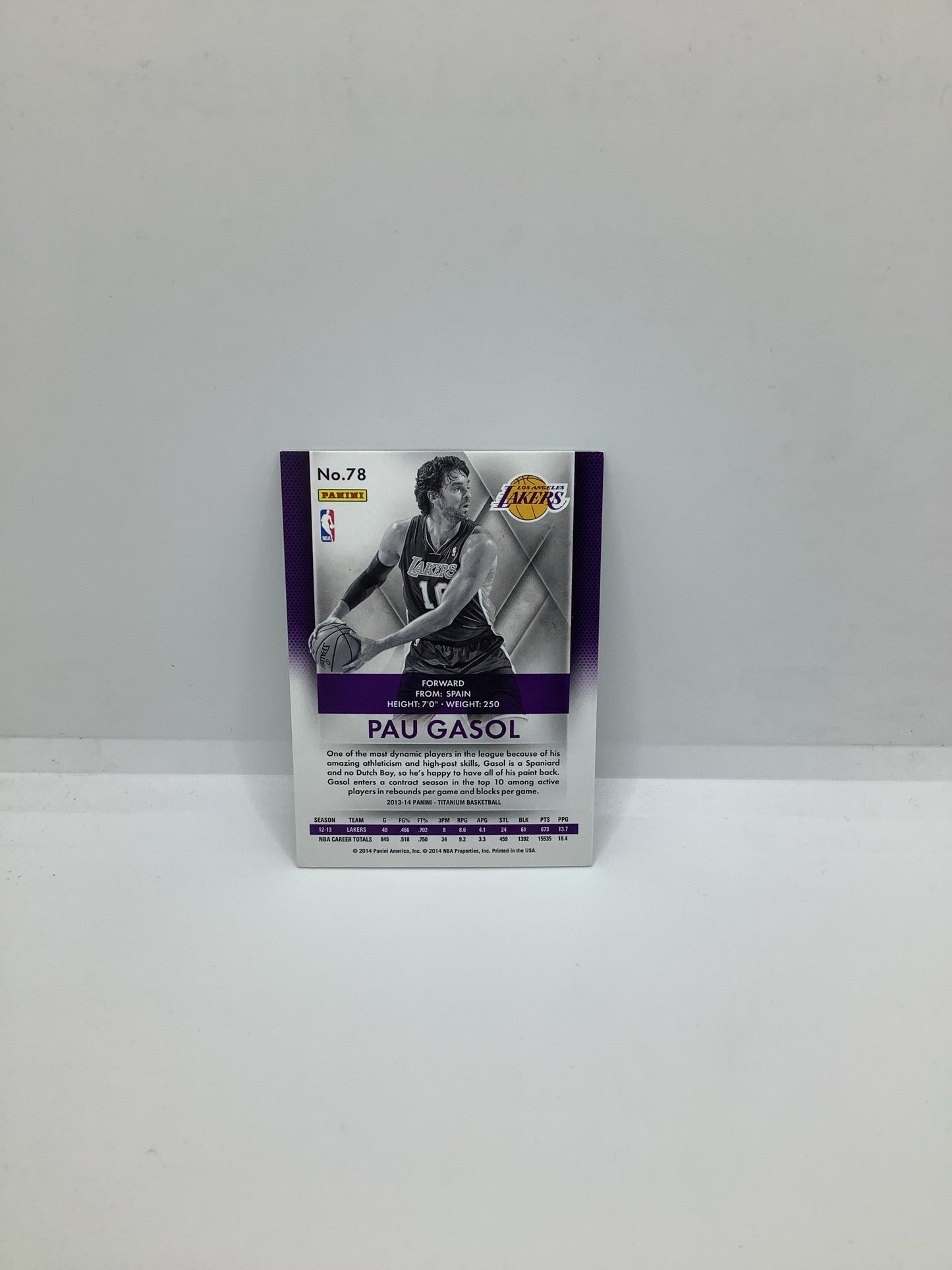 2014 Panini Pau Gasol