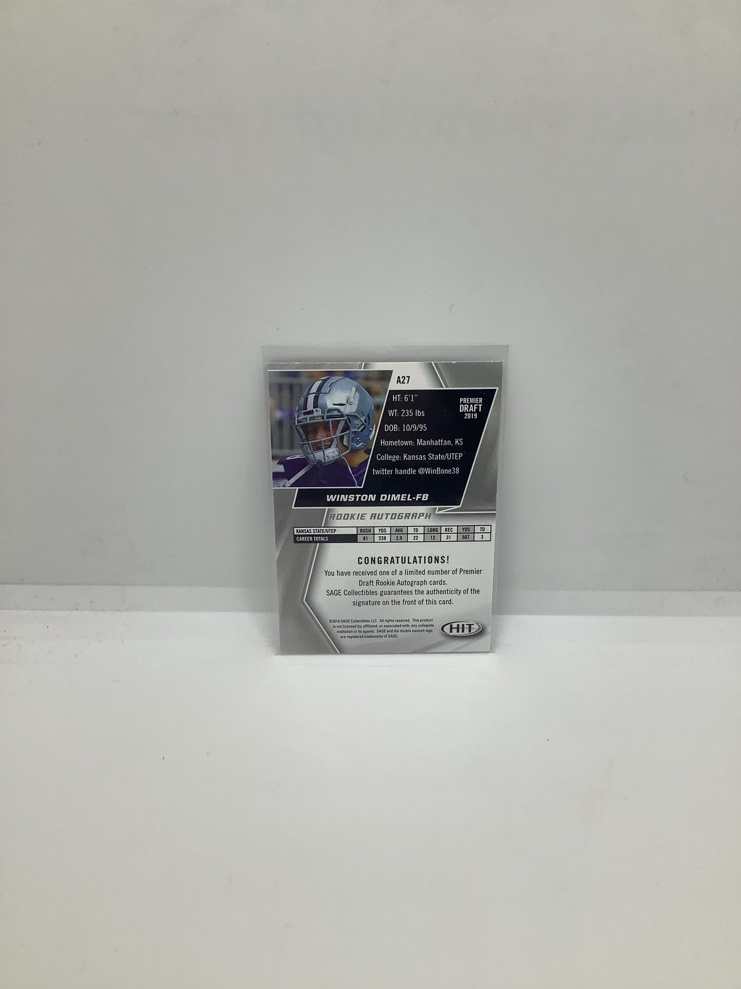 2019 Sage Hit Auto Winston Dimel